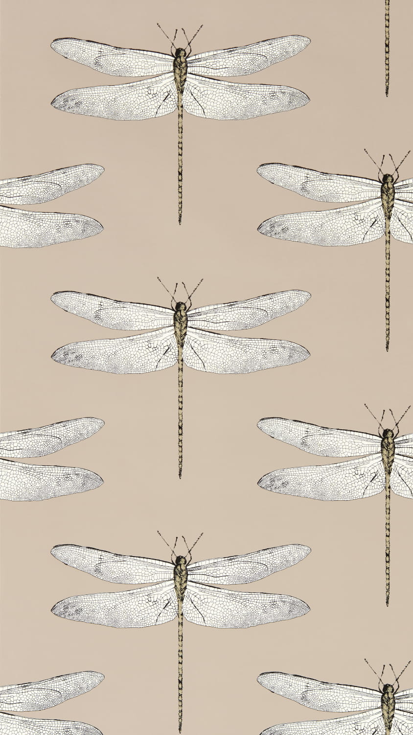 Carta da parati Demoiselle - Positano/ First Light/ Taupe