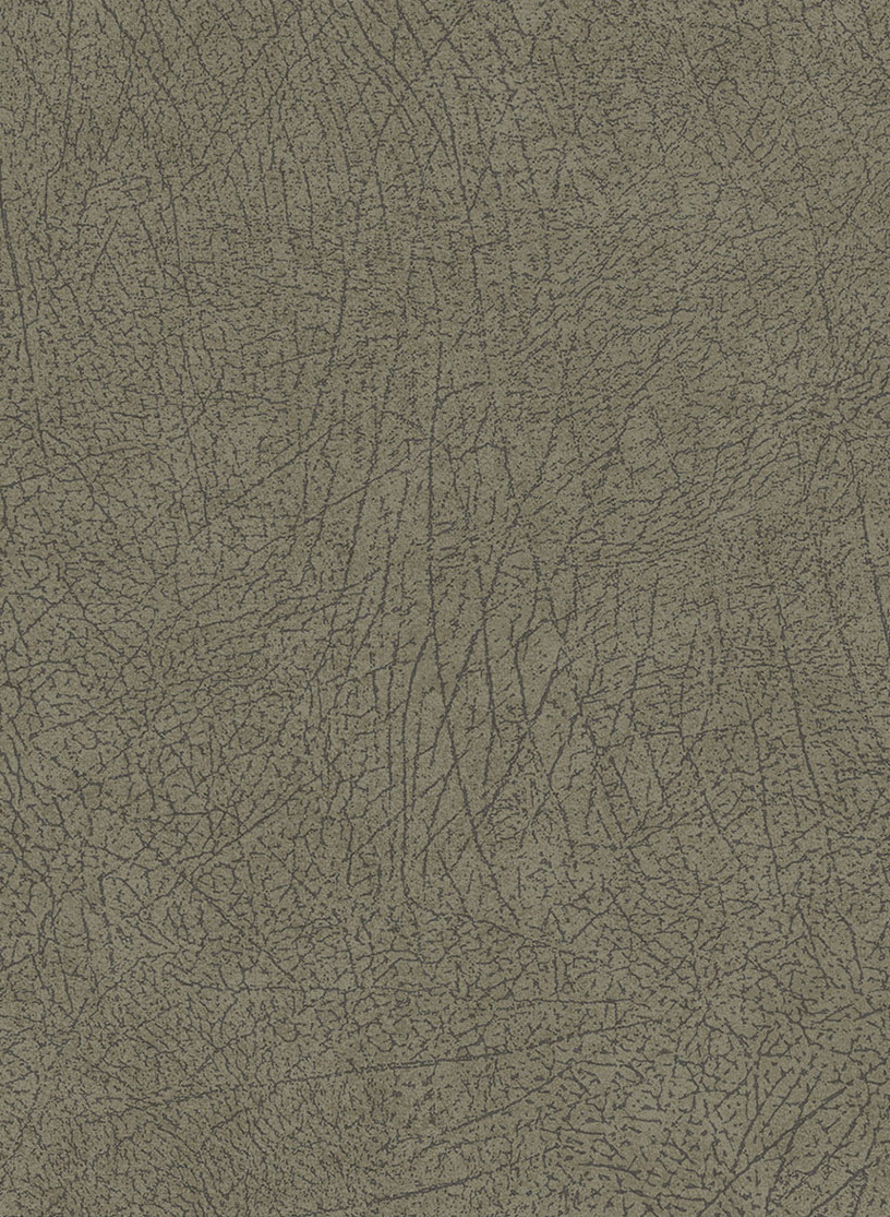 Tapete Skin 5 - Olive