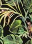 4050_1_clarke-and-clarke_monkey-business_w0083-01-31623