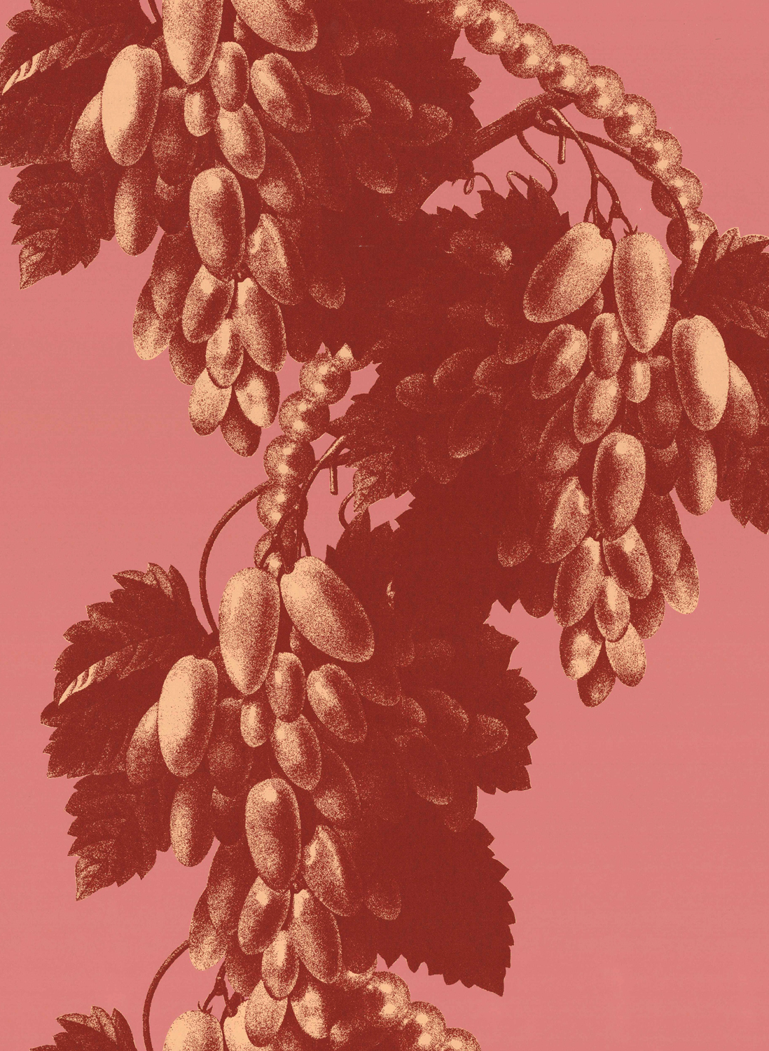 Tapete Pink Pearl - 1713