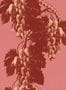 18643_01_Studio_Lisa_Bengtsson_Pink_Pearl_1713-170292