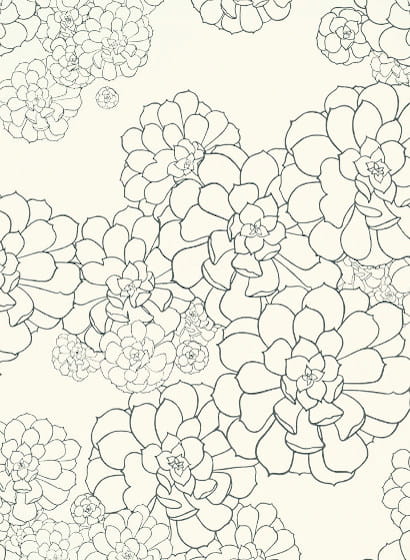 Tapete Aeonium - Clean White