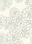 4701_2_paintandpaper_tresco_aeonium_clean_white_0393aeclean-58223