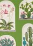 5178_2_sanderson_terrariums_216656-54584