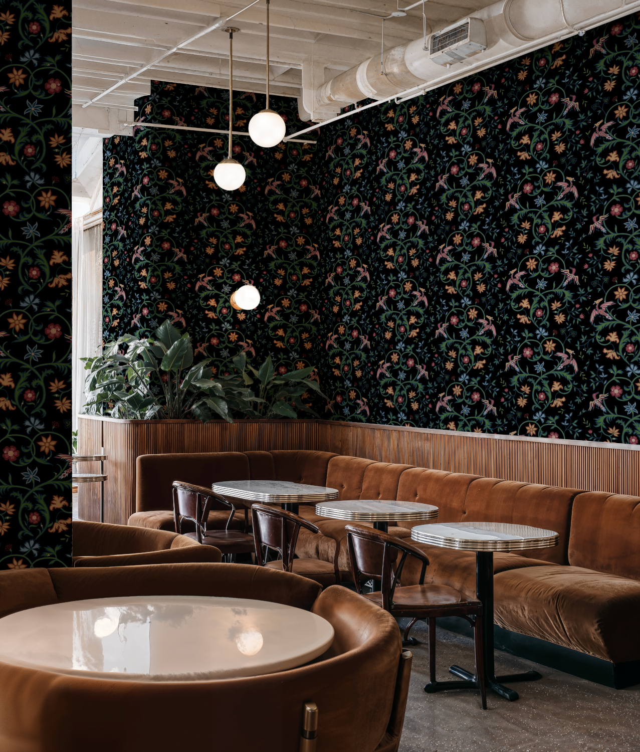 Tapete Antwerp Damask - Onyx