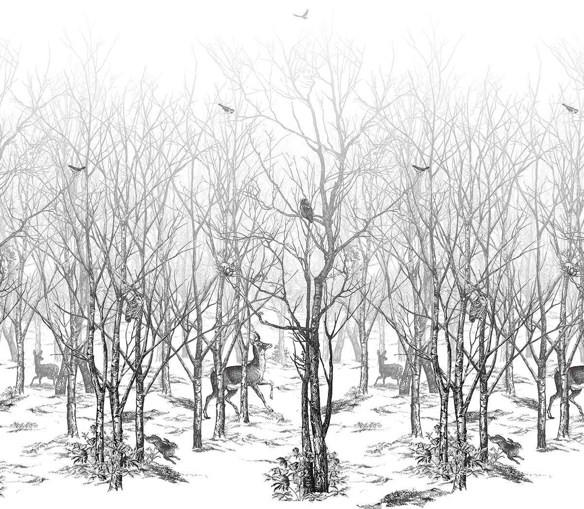 Wandbild Forêt enchantée - Noire/ Blanc
