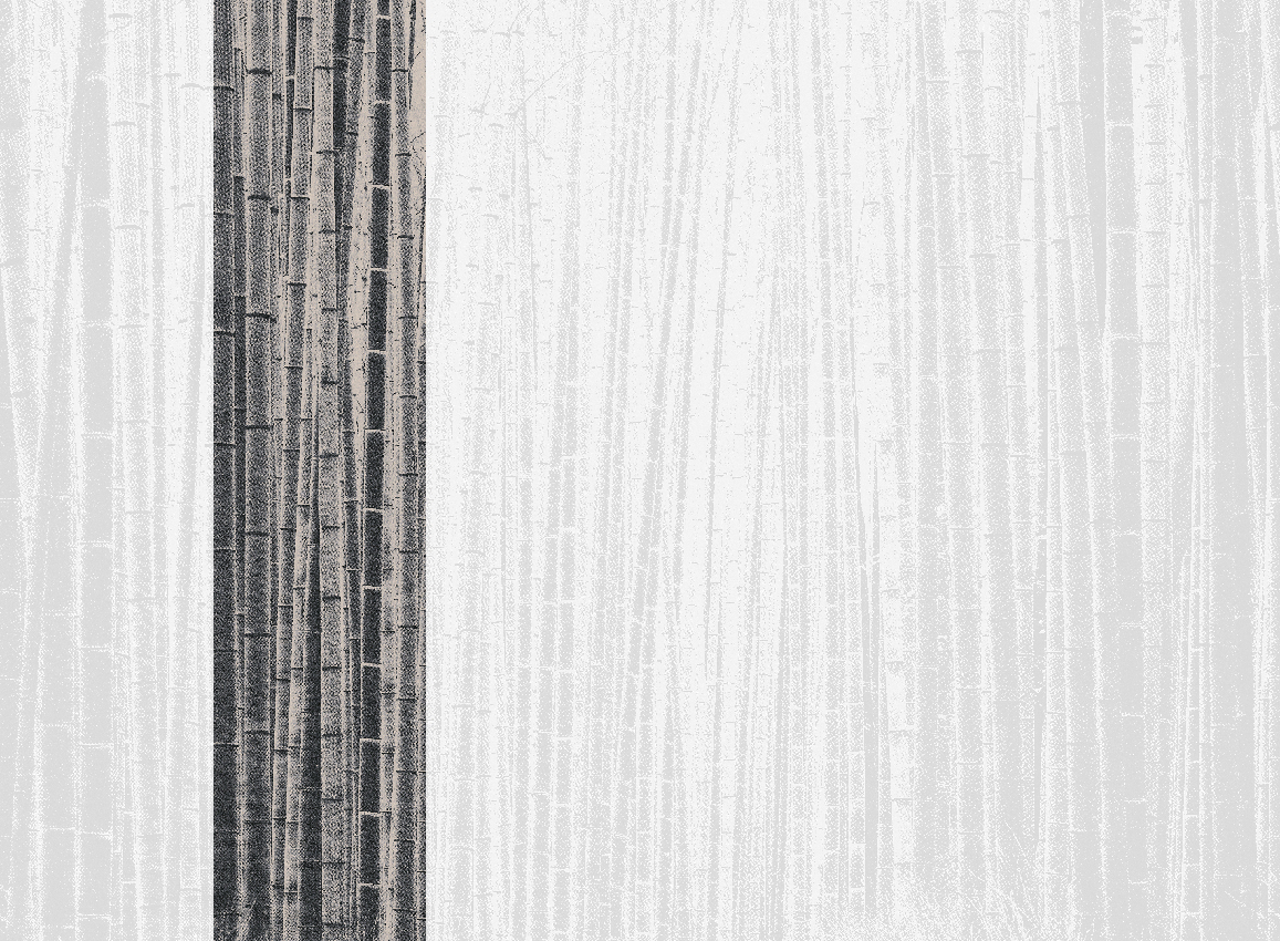 Wandbild Arashiyama - Black Panel 2