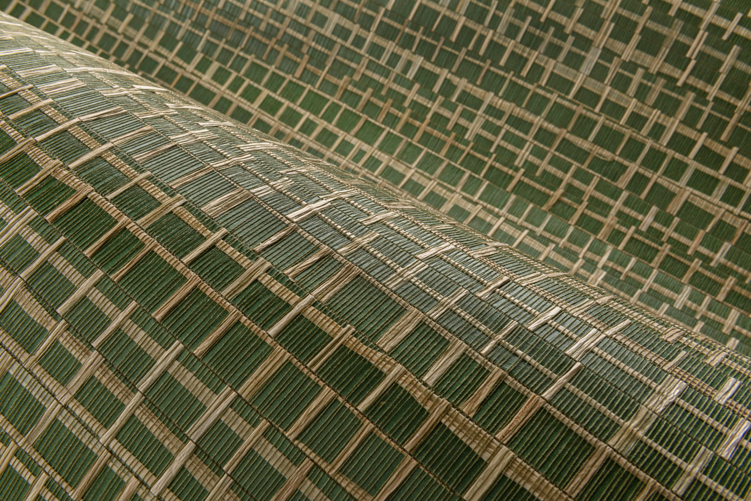 Tapete Ruban - Palmier