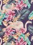 2212_6_osborne_little_cubana_flamingo_club_w6800-06-24524