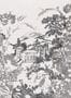 9536_3_Coordonne_Neo-Tapestry_8800152N-95148