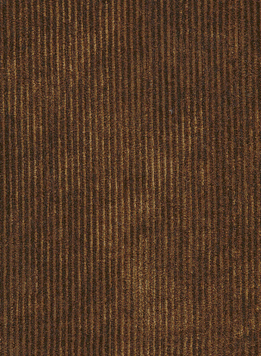 Tapete Tinneroy - 29506