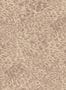 15407_02_House_of_Hackney_Ferus_1-WA-FRU-DI-ASA-XXX-188177