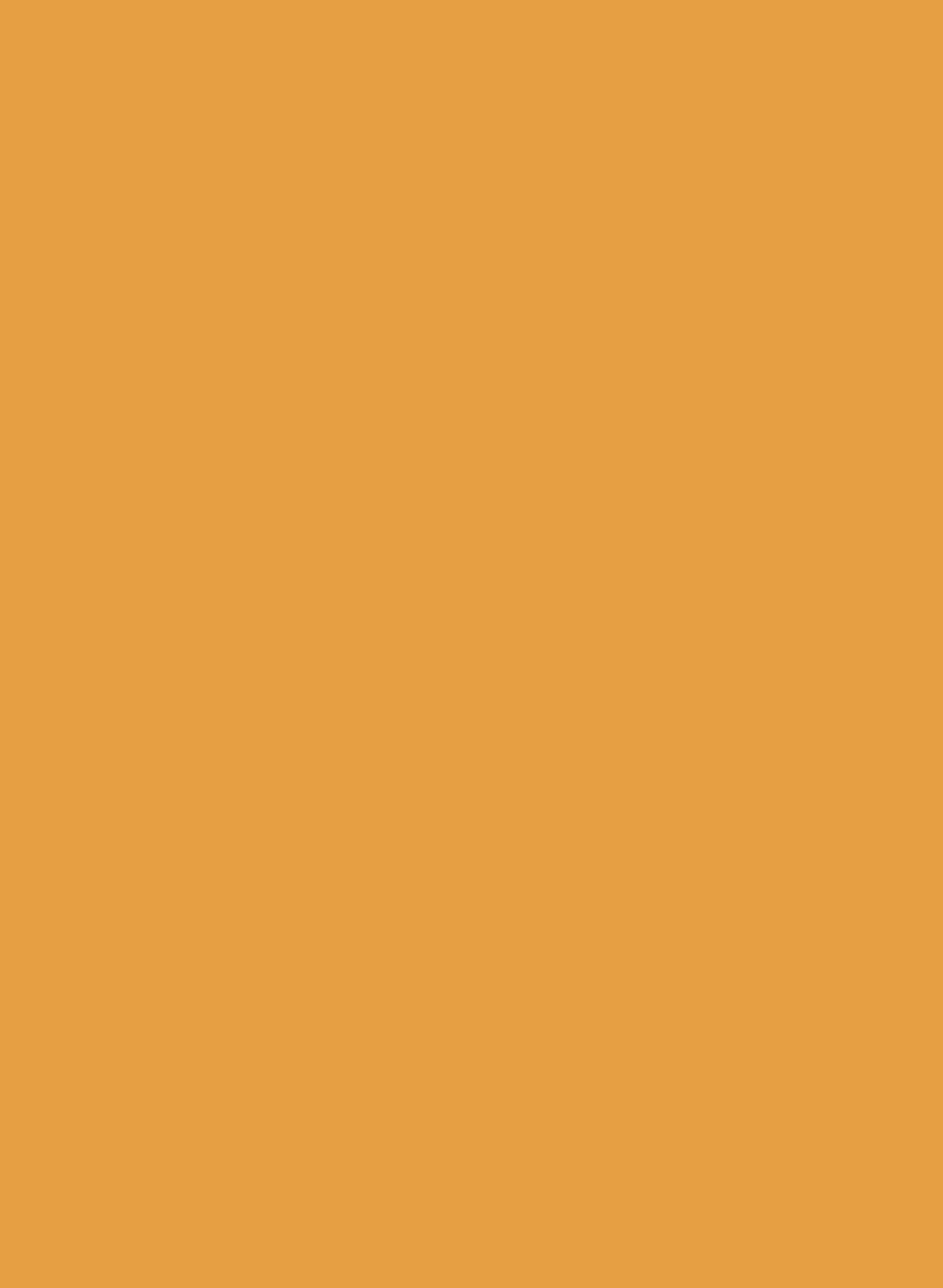 Dutch Orange W76