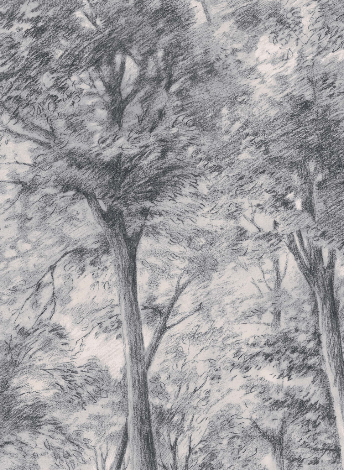 Wandbild Sketch of Trees - 9630W