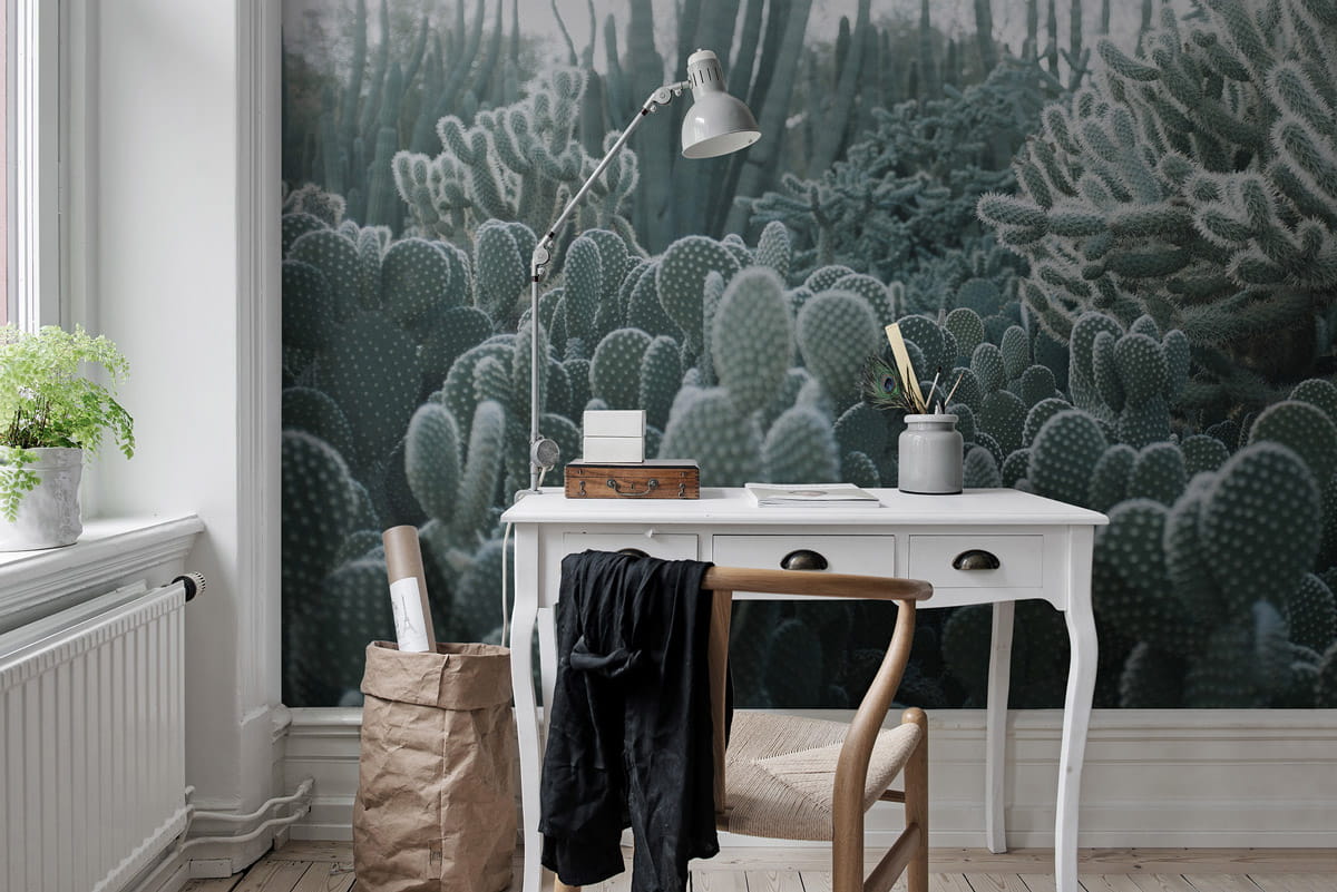 Wandbild Cacti