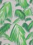 2213_2_osborne_little_cubana_tropicana_w6801-02-24528