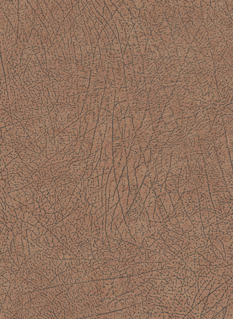 Tapete Skin 5 - 300513