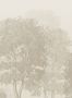 15337_03_Sandberg_Charles_S10639-170567