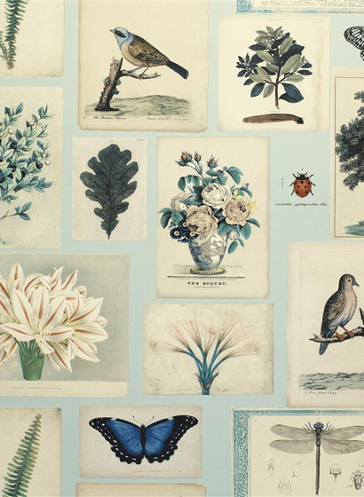 Tapete Flora and Fauna - Cloud Blue
