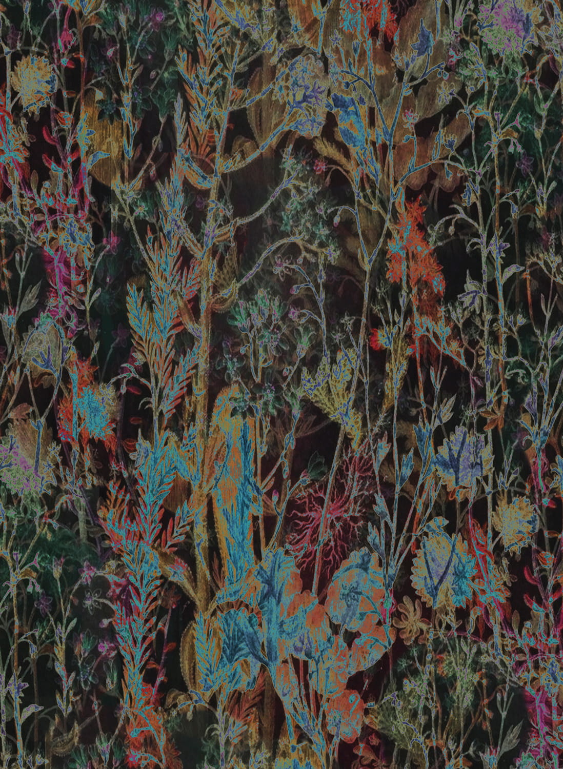 Tapete Wildflower - 29540