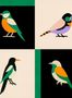 18109_01_Coordonné_Like_a_Bird_C00133-175194