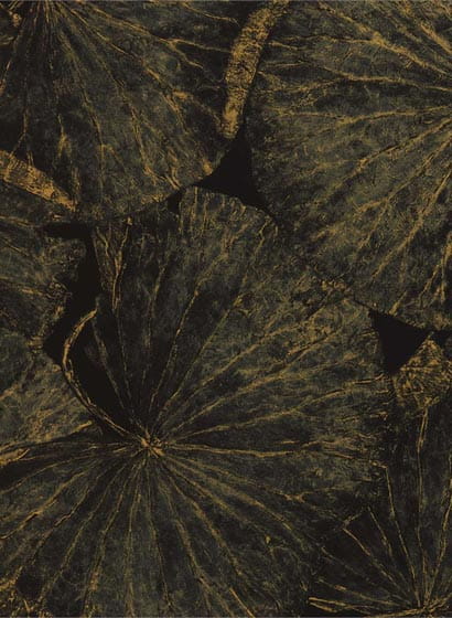 Wallpaper Taisho D - Vine Black