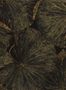 4033_3_zoffany_taisho-deco_312750-31543