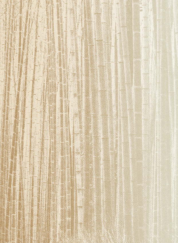 Wandbild Arashiyama - Sunrise Panel 6