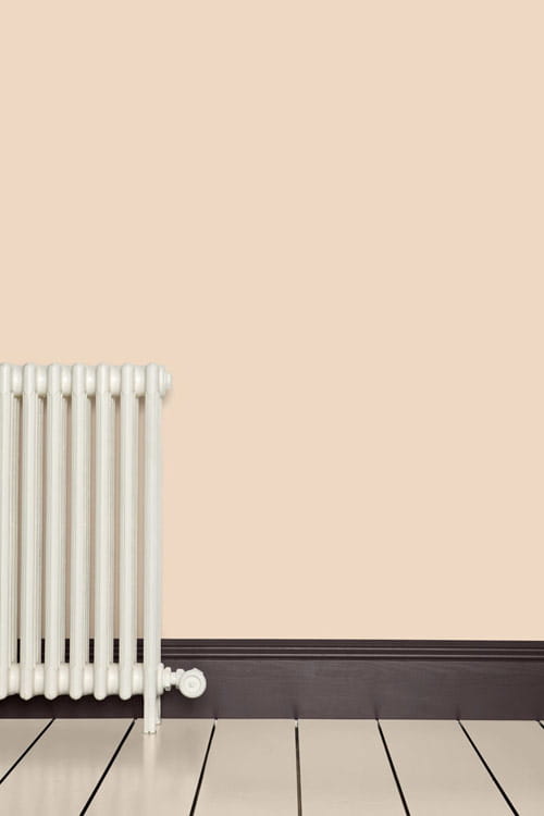 Estate Emulsion - Setting Plaster 231 - 2,5l