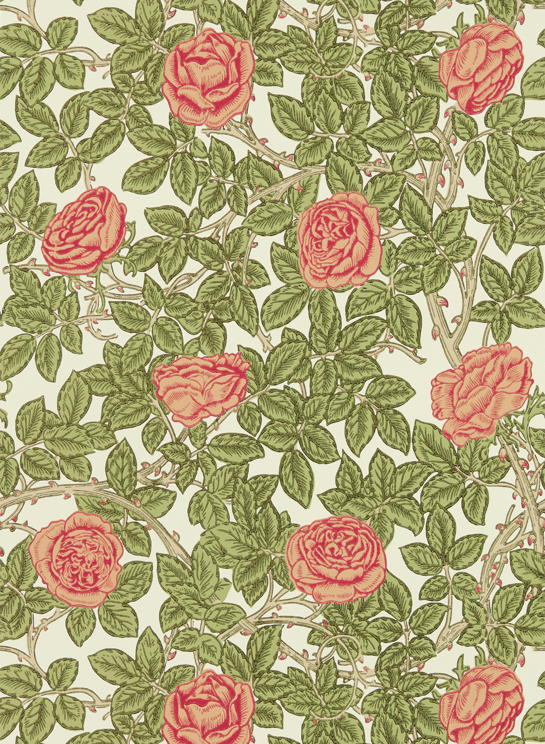 Tapete Rambling Rose - Twining Vine