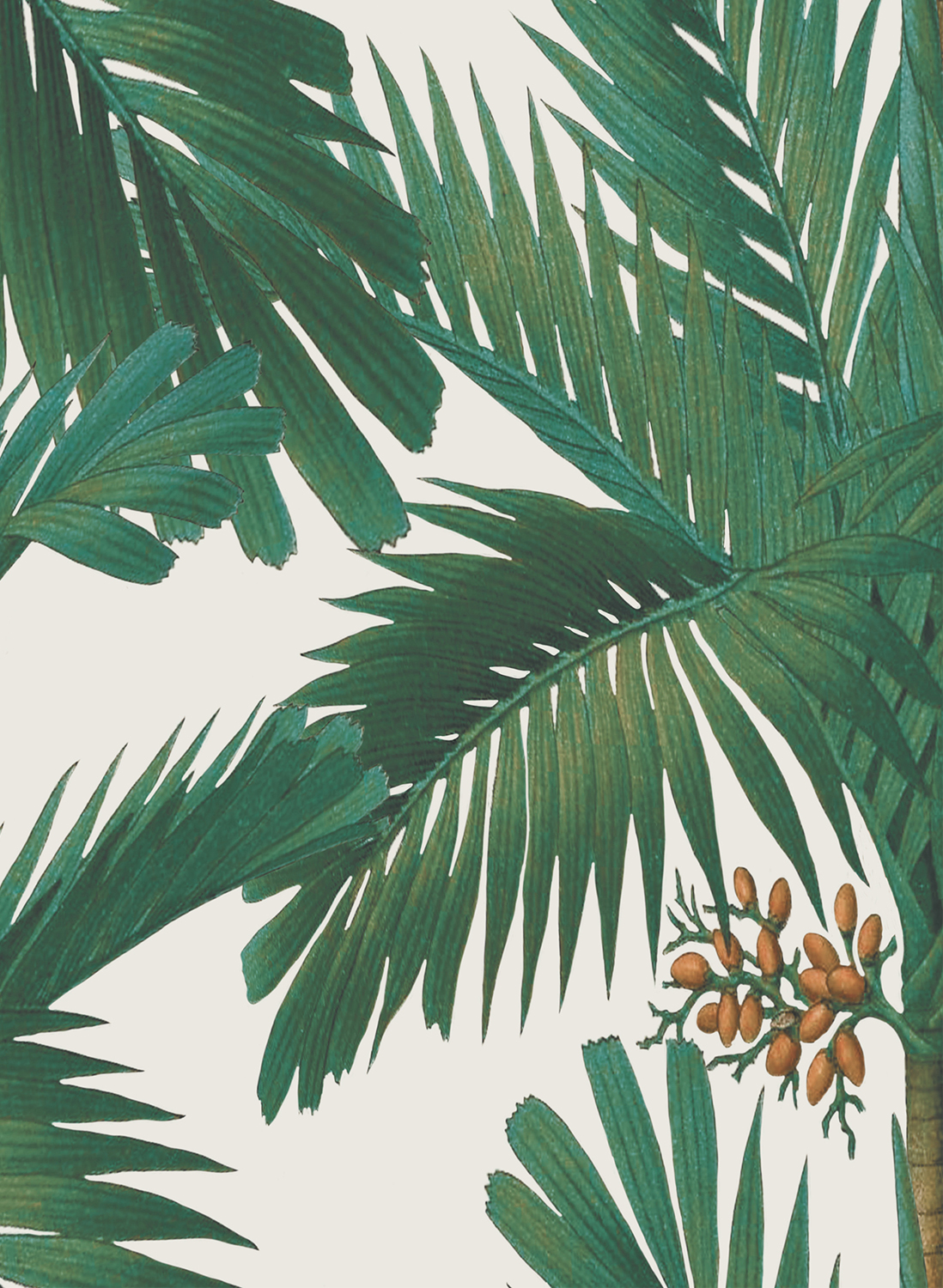 Tapete Palm Spring - Pearl