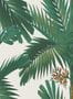 8597-2-Rebel-Walls-Tapete-Palm-Spring-R17572-70593