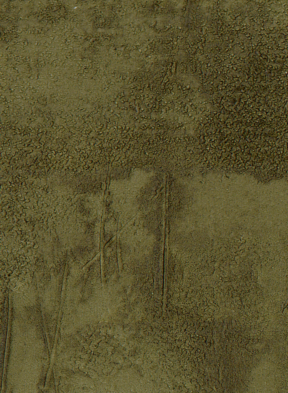 Tapete Agrigente - VP 960 60