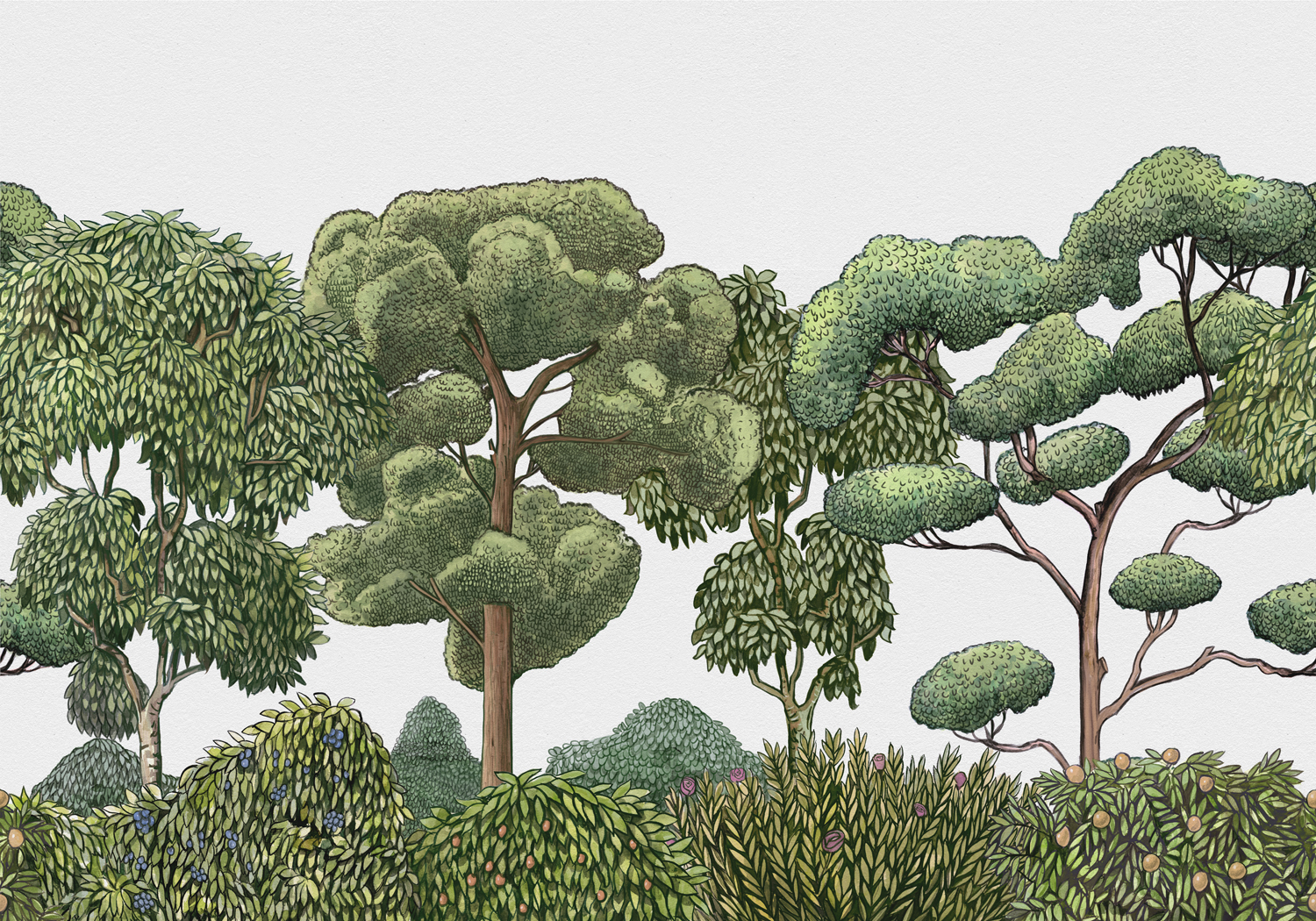 Wandbild Green Forest - Natural