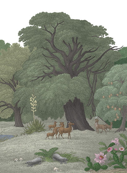 Wandbild Jungle Land - Color B