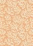 14719_2_Langelid_von_Broemssen_Coral_39-58-117297