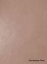 Terrastone-Fine-10-Apricot-Rose-colour-sample-named-190572