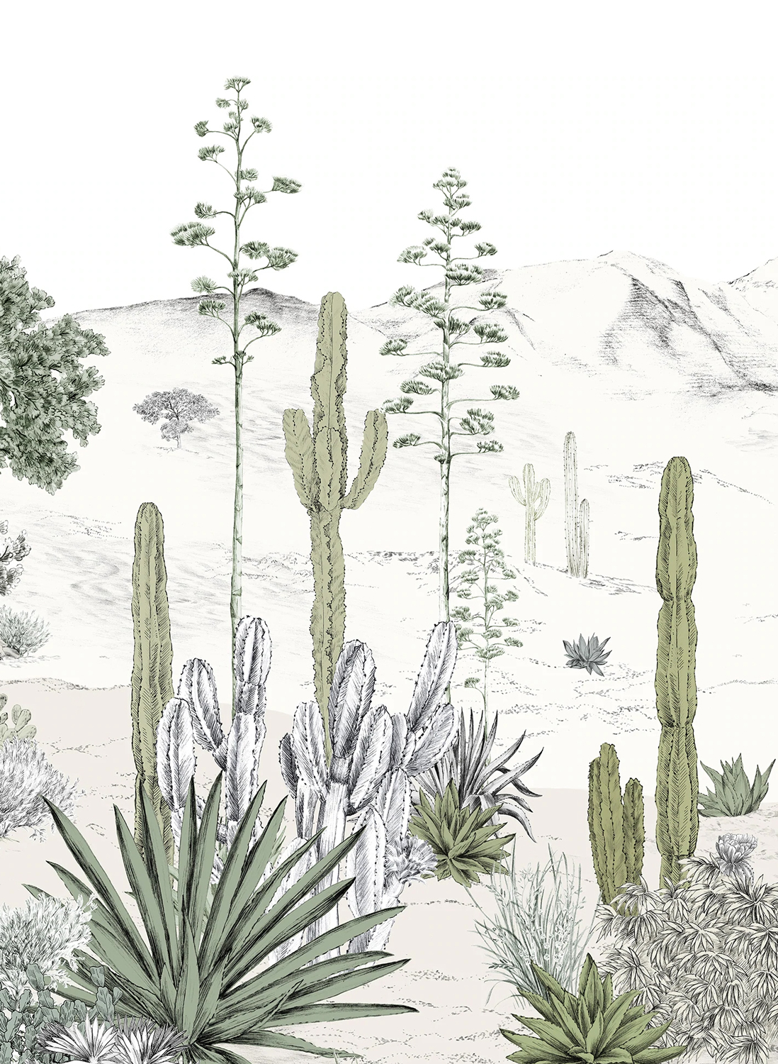 Wandbild Succulentes Naturel - Panel B