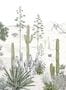 6840_2_Isidore_Leroy_Succulentes_Naturel_6247607-89560