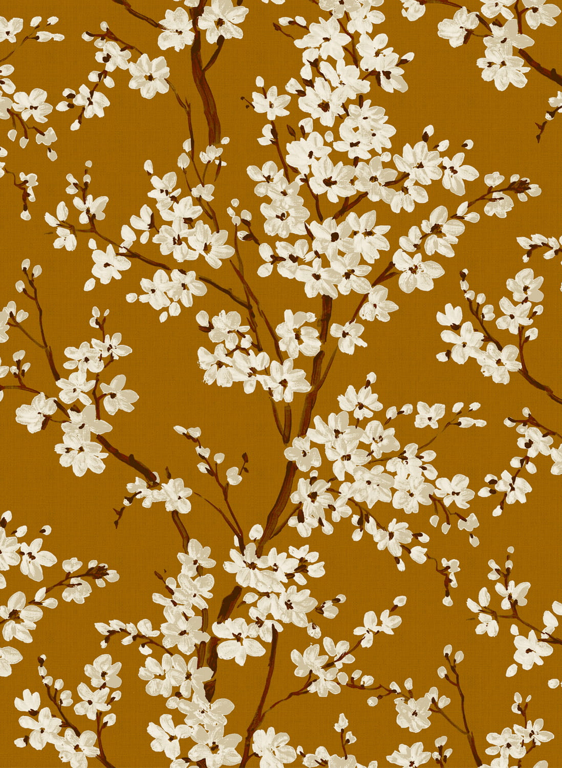 Tapete Cherry Blossom - Honey