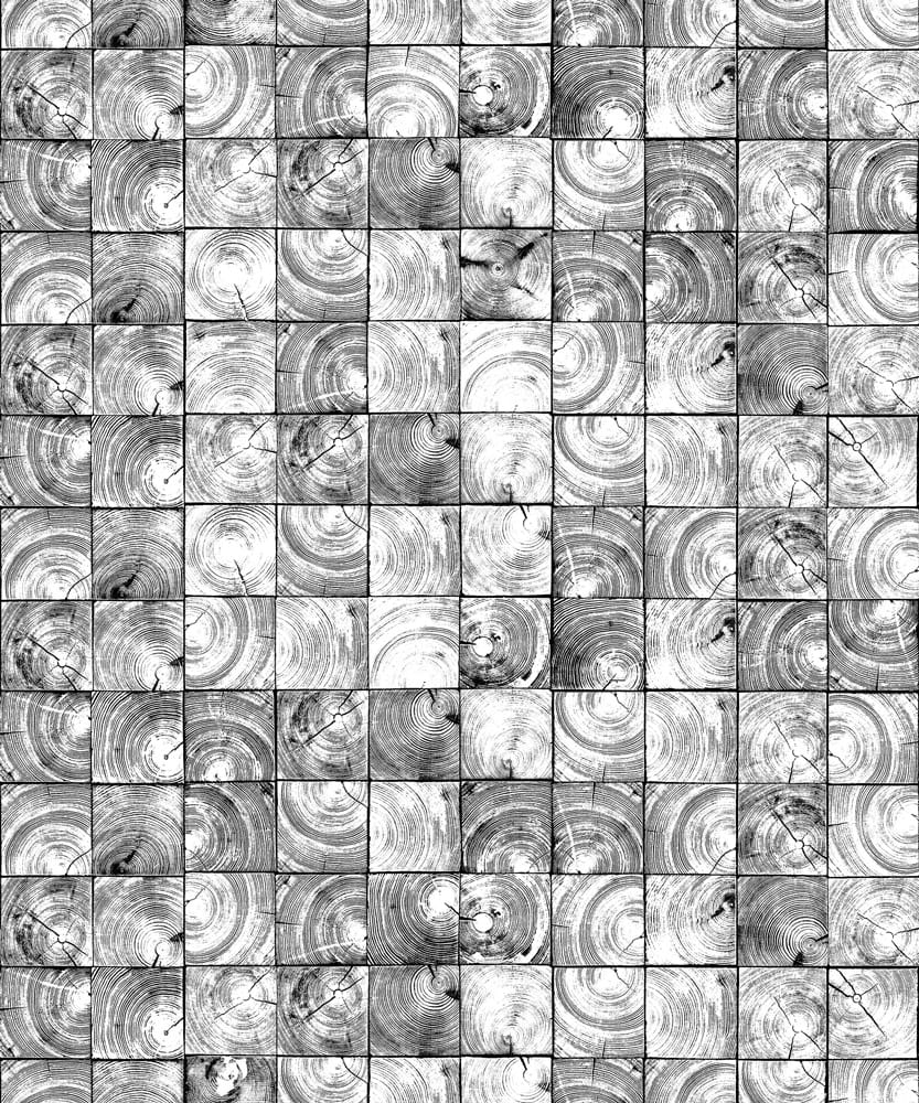 Wandbild Age Rings - Black/ White