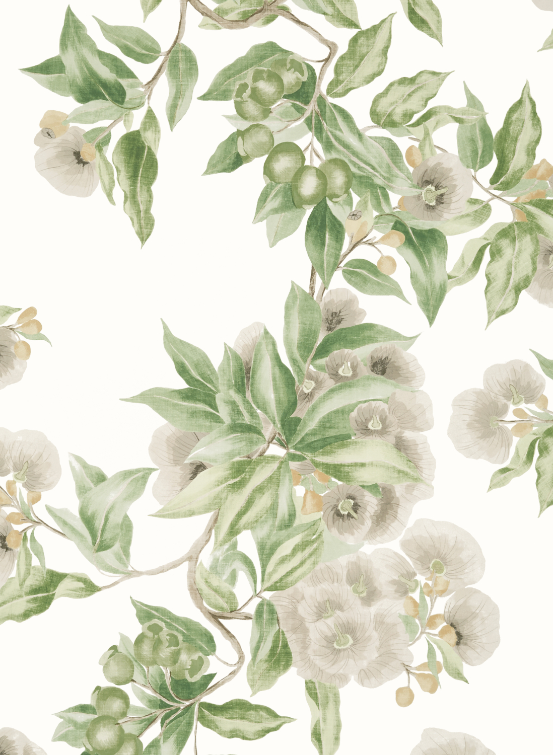 Tapete Camellia Garden - Spring on White
