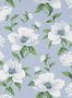 6922_2_Manuel_Canovas_Bianca_03118-02-87327