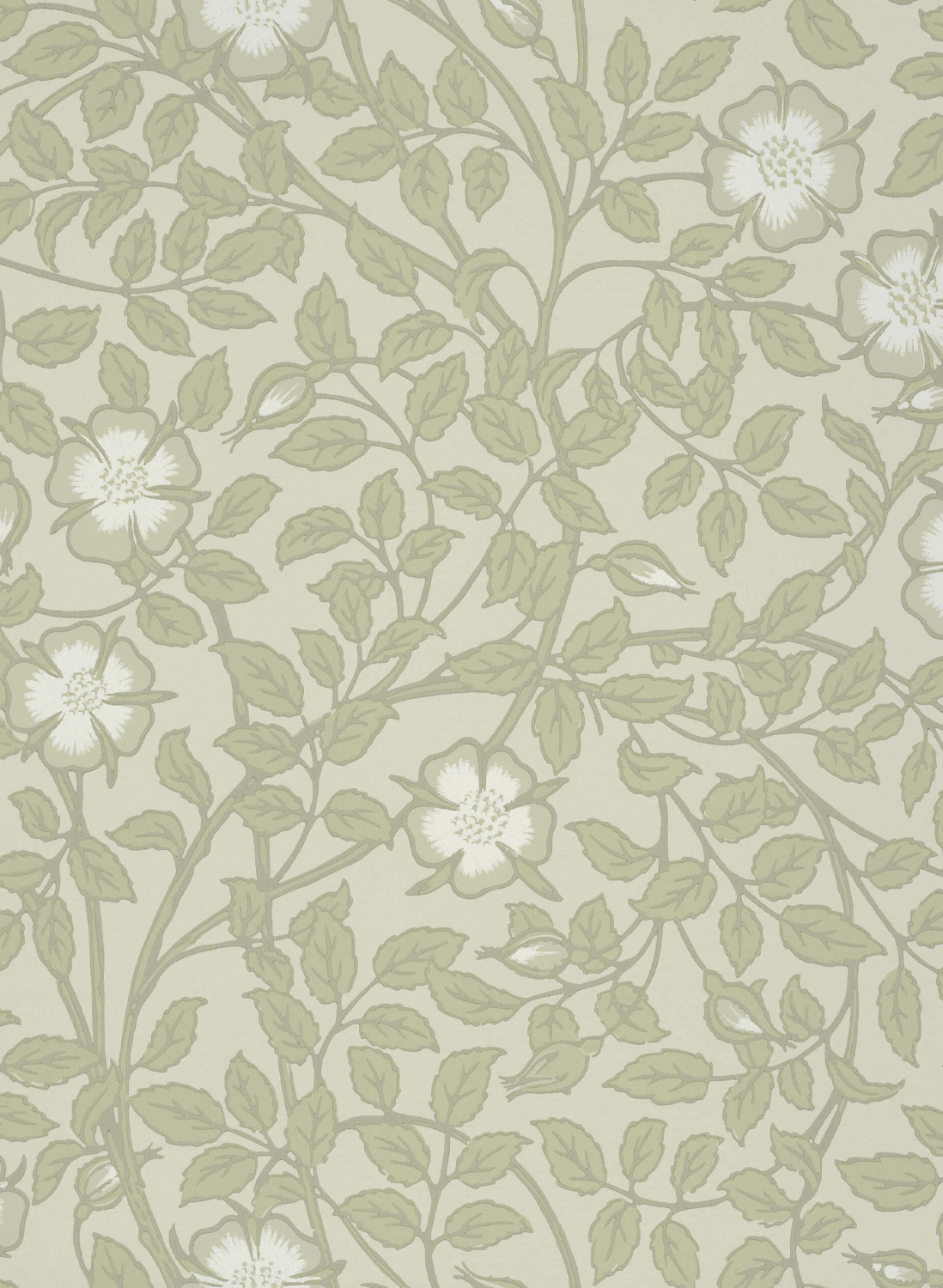 Tapete Briar Rose - Green Stone