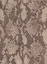 15409_02_House_of_Hackney_Cobra_1-WA-COB-DI-EAR-XXX-188136
