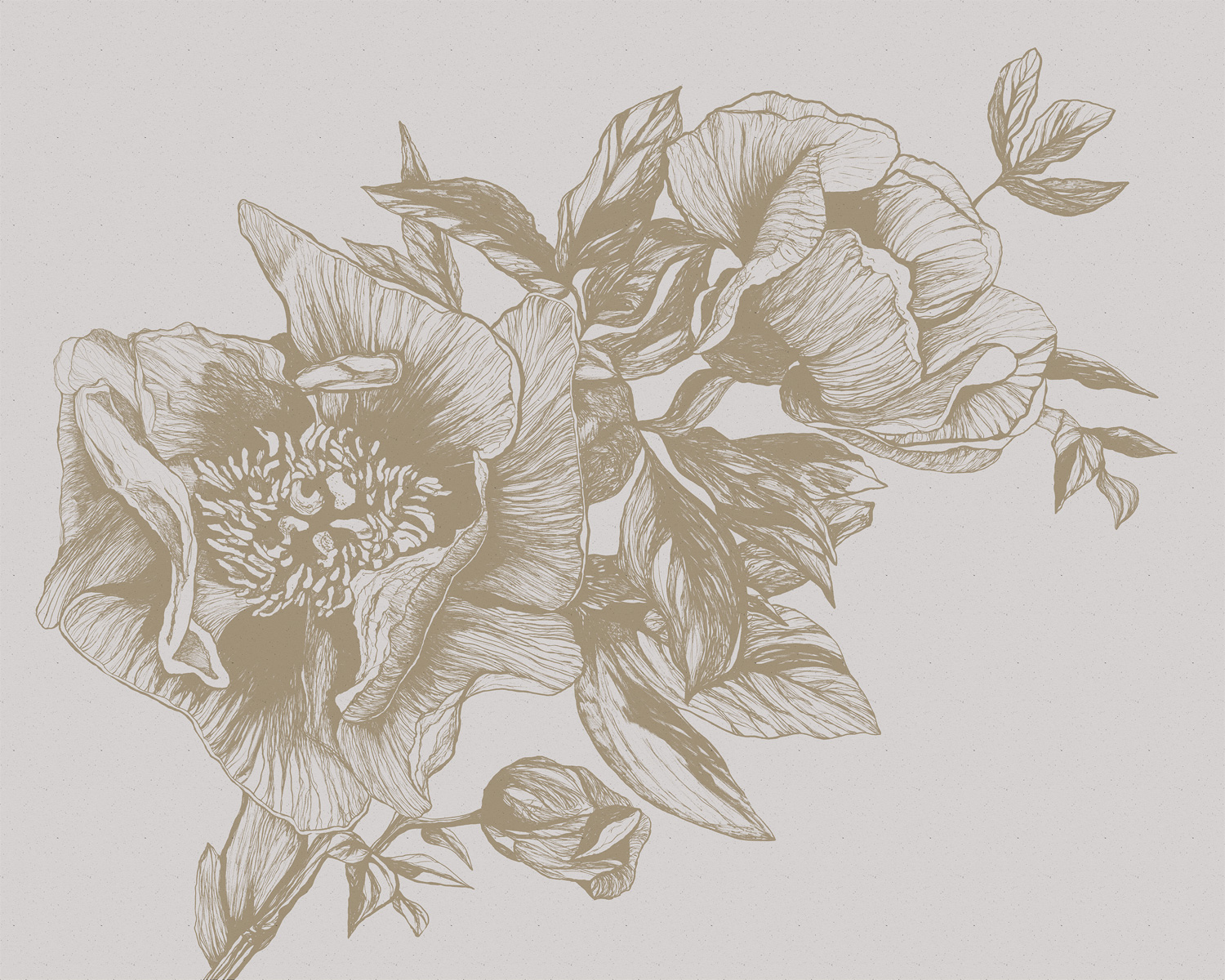 Wandbild Giant Peonies - Papirus
