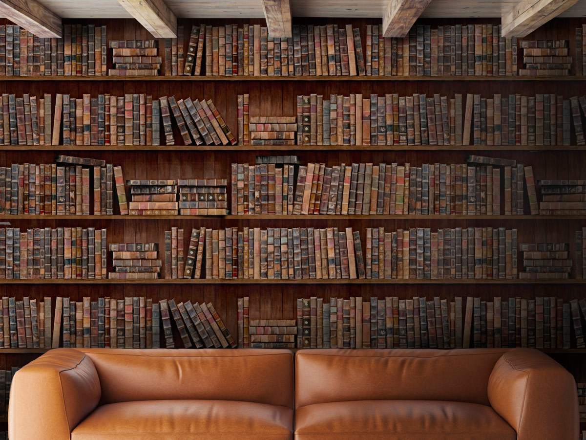 Tapete Book Shelves - WP20112