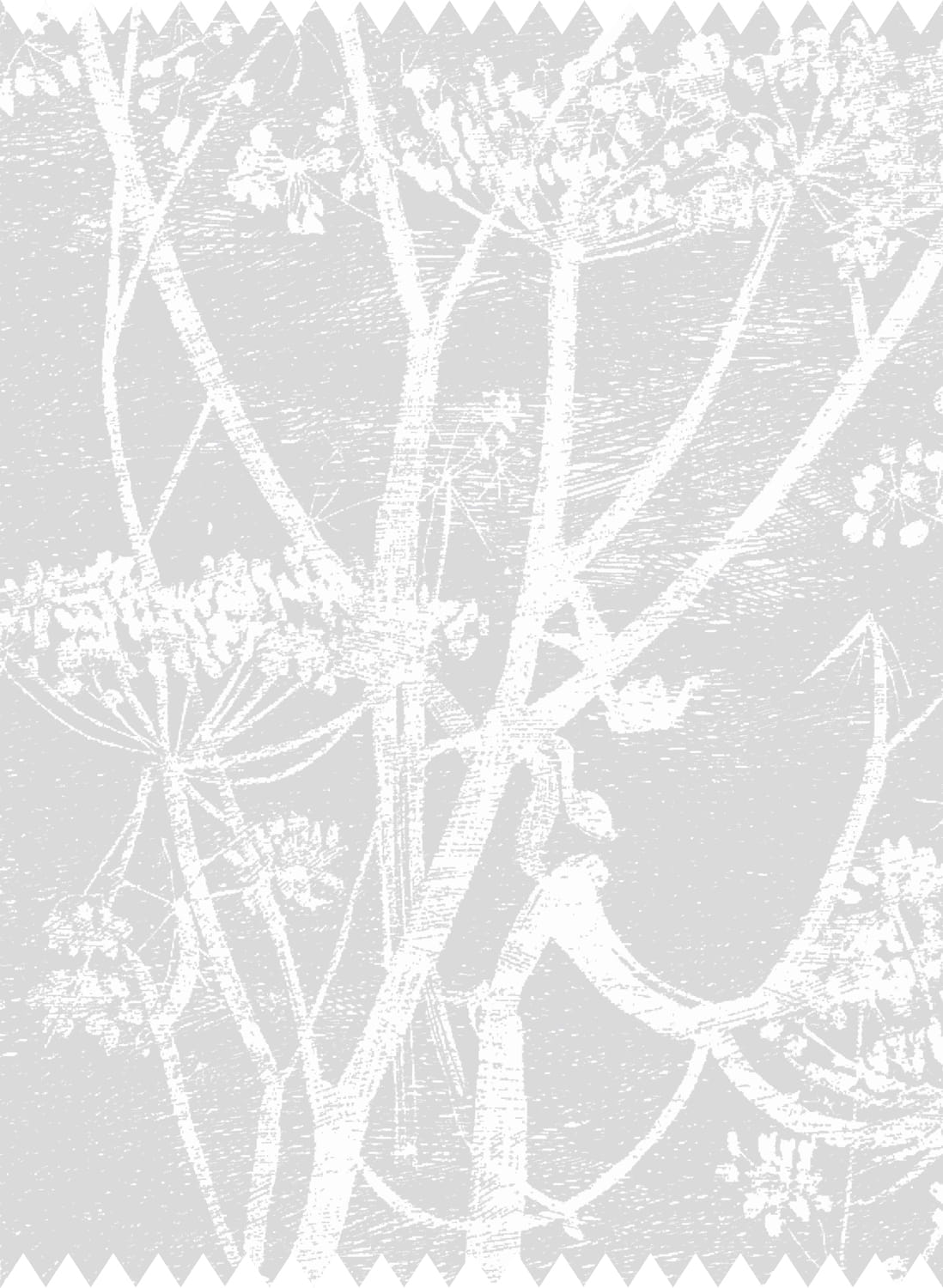 Stoff Cow Parsley Linen - Soft Grey