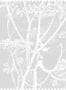50376_04_Cole_and_Son_Cow_Parsley_Fabric_F111_5021-188541