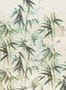14854_1_Jannelli_and_Volpi_Ine_40361-132034